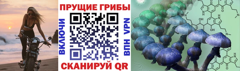 MEGA как зайти Арзамас Галлюциногенные грибы мицелий магазин