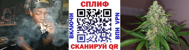 Бошки Шишки ГИДРОПОН  блэк спрут ТОР  Арзамас 